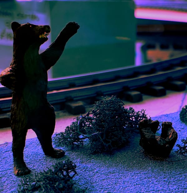 Dark side of the moon